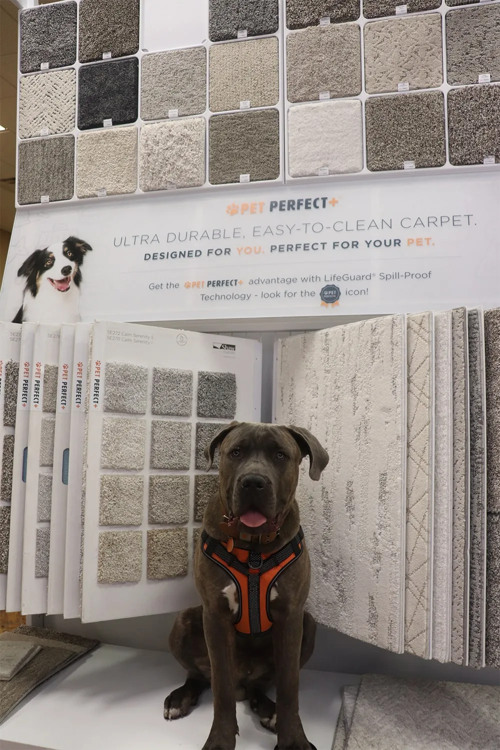 BH-7-renditionDownload-min Showroom | Black Hills Flooring